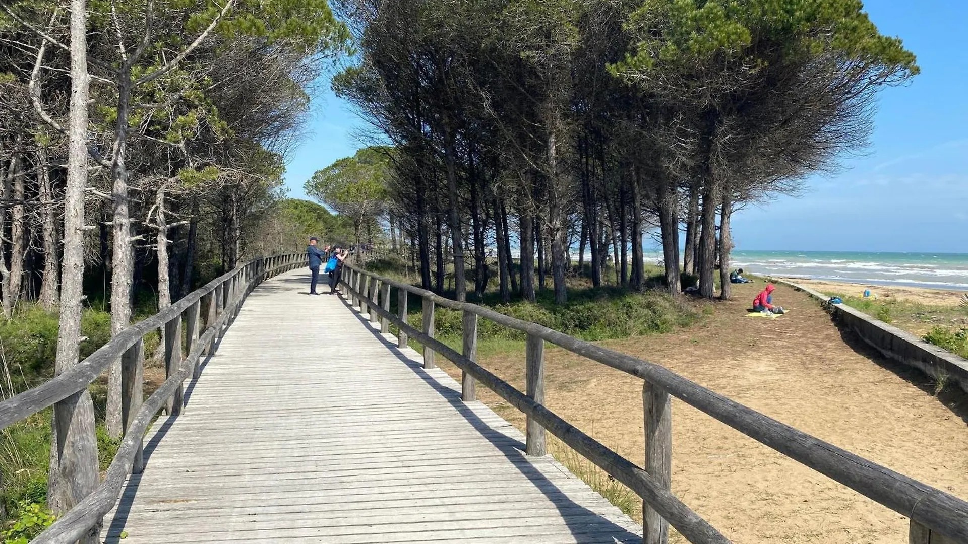 Warm Two-Room Flat With Terrace Near The Beach contacts